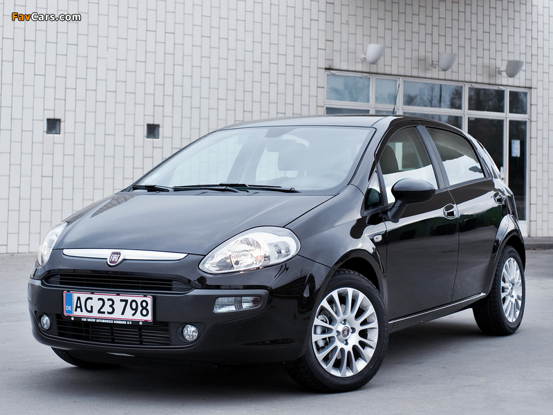 Fiat Punto Evo 5-door (199) 2009–12 pictures (800 x 600)