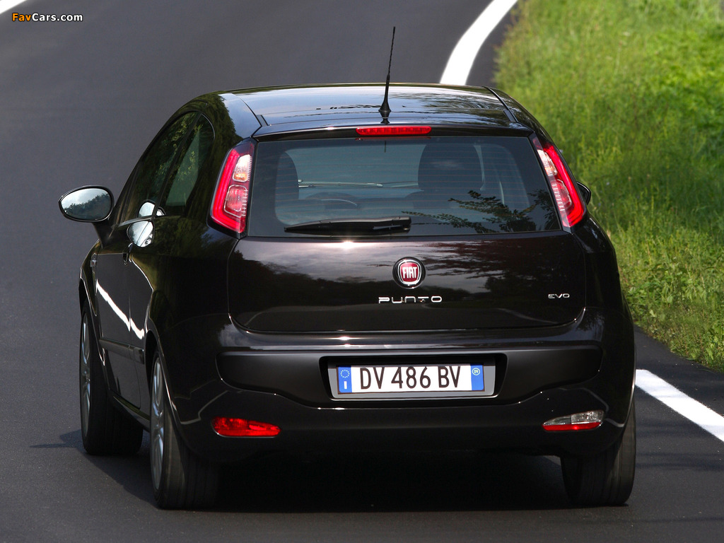 Fiat Punto Evo 3-door (199) 2009–12 pictures (1024 x 768)