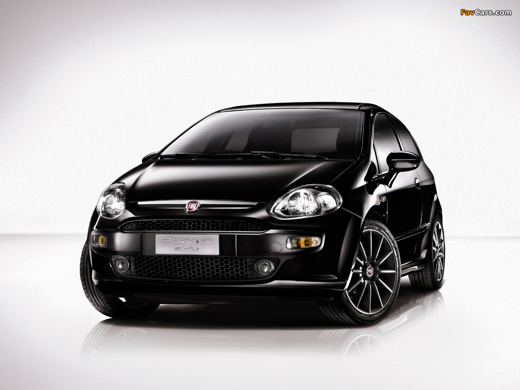 Fiat Punto Evo 3-door (199) 2009–12 wallpapers (1024 x 768)