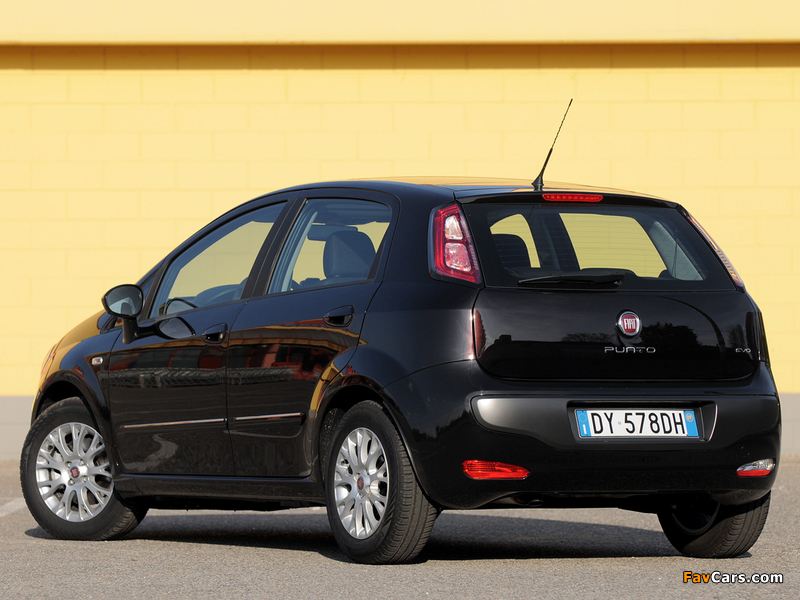 Fiat Punto Evo 5-door (199) 2009–12 wallpapers (800 x 600)