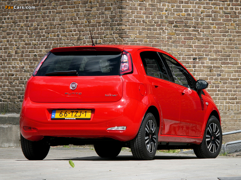 Fiat Punto TwinAir 5-door (199) 2012–13 photos (800 x 600)