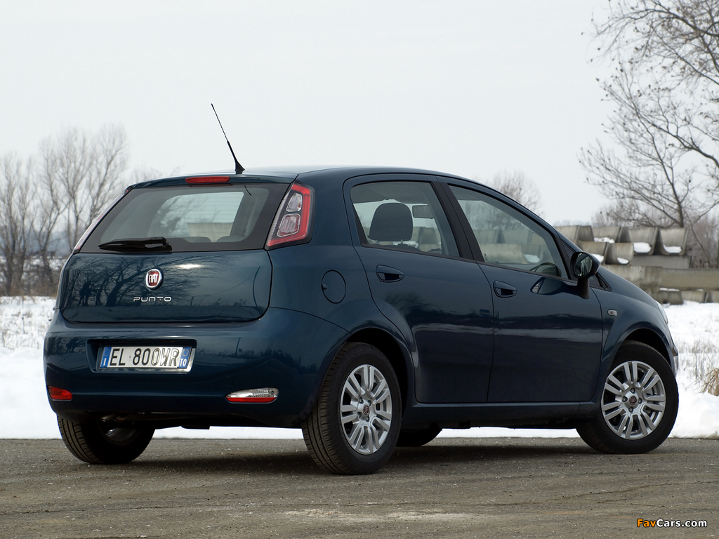 Fiat Punto 5-door (199) 2012 pictures (1024 x 768)