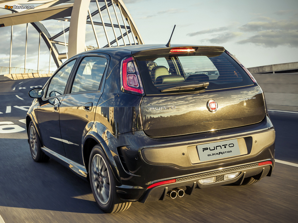 Fiat Punto BlackMotion (310) 2013 images (1024 x 768)