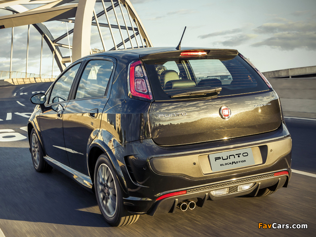 Fiat Punto BlackMotion (310) 2013 images (640 x 480)