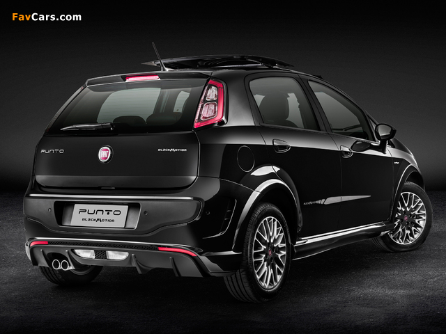 Fiat Punto BlackMotion (310) 2013 photos (640 x 480)