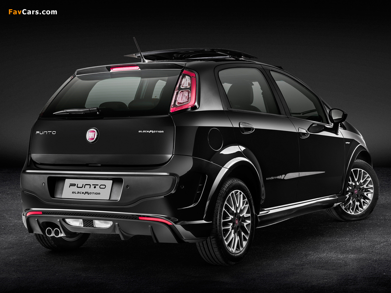 Fiat Punto BlackMotion (310) 2013 photos (800 x 600)