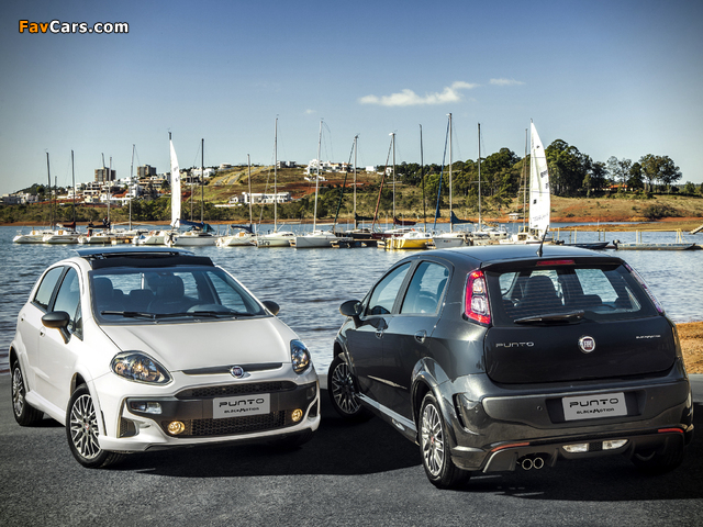 Fiat Punto BlackMotion (310) 2013 photos (640 x 480)