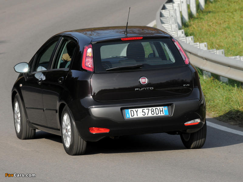 Images of Fiat Punto Evo 5-door (199) 2009–12 (800 x 600)