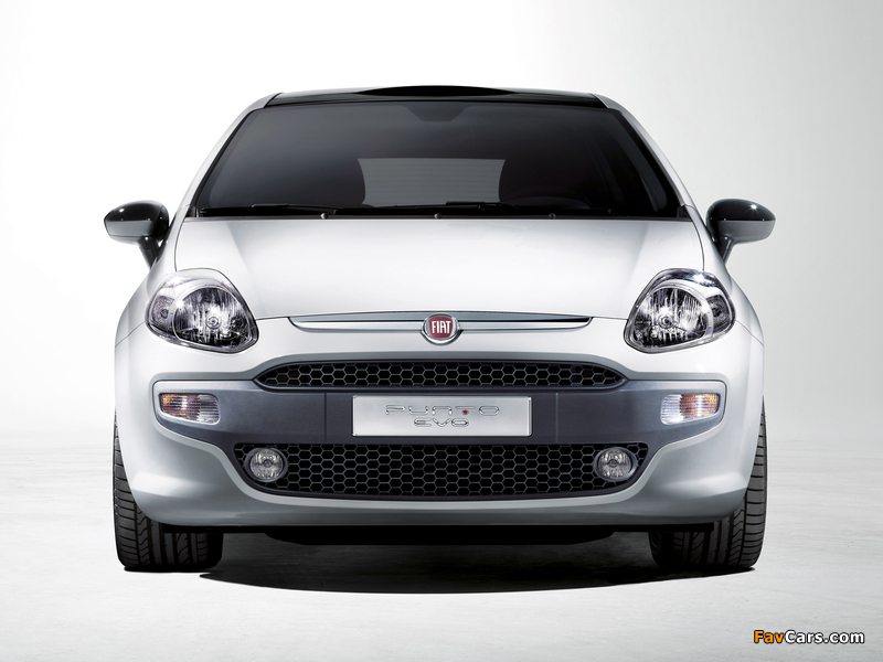 Images of Fiat Punto Evo 3-door (199) 2009–12 (800 x 600)