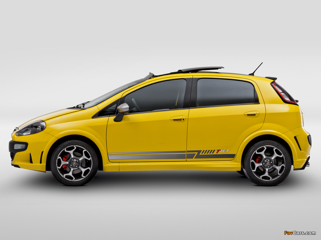 Images of Fiat Punto T-Jet BR-spec (310) 2012 (1024 x 768)