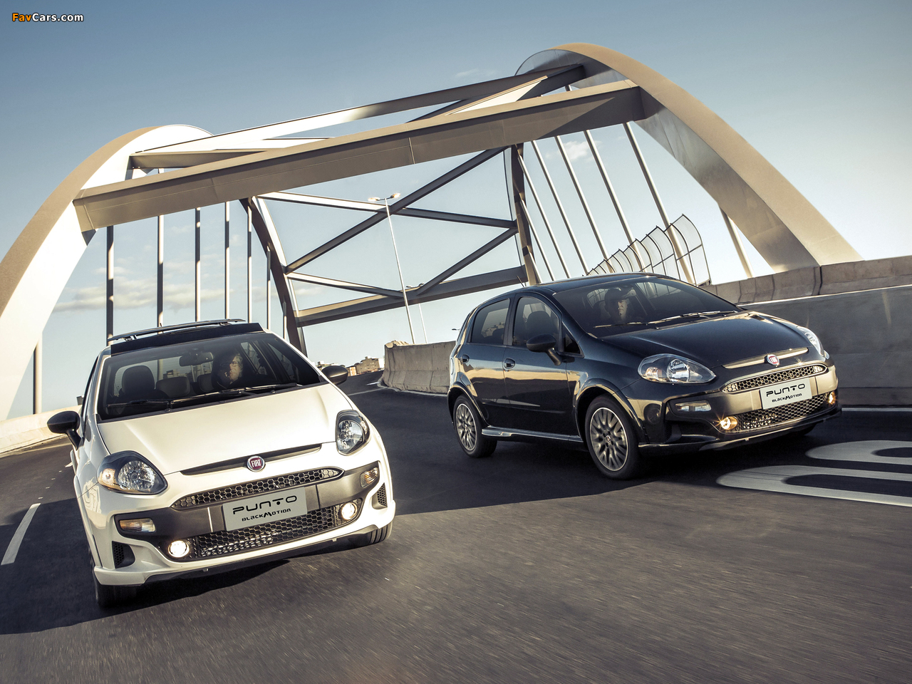 Images of Fiat Punto BlackMotion (310) 2013 (1280 x 960)