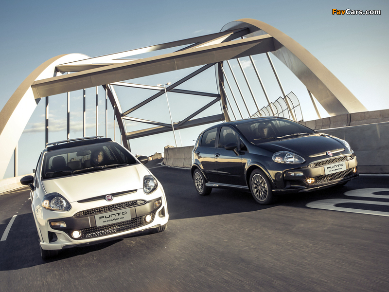 Images of Fiat Punto BlackMotion (310) 2013 (800 x 600)