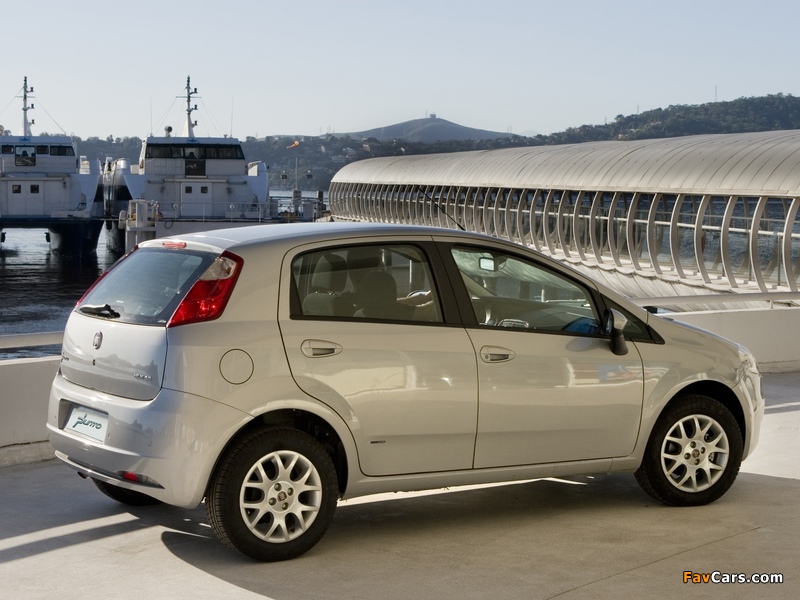 Photos of Fiat Punto BR-spec (310) 2007–12 (800 x 600)