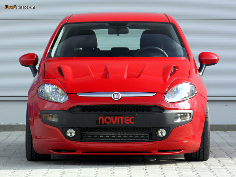 Photos of Novitec Fiat Punto Evo (199) 2010–12 (800 x 600)