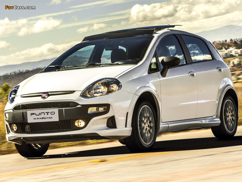 Photos of Fiat Punto BlackMotion (310) 2013 (800 x 600)