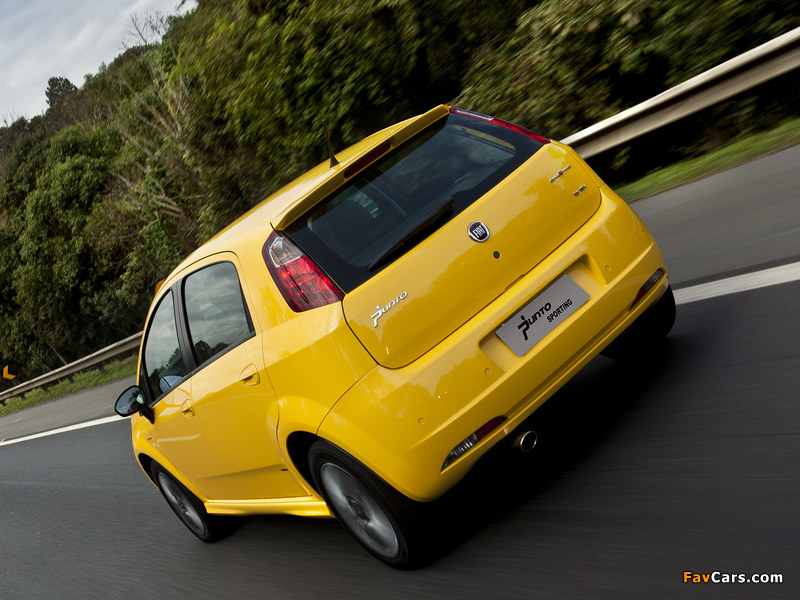 Pictures of Fiat Punto Sporting BR-spec (310) 2007–12 (800 x 600)