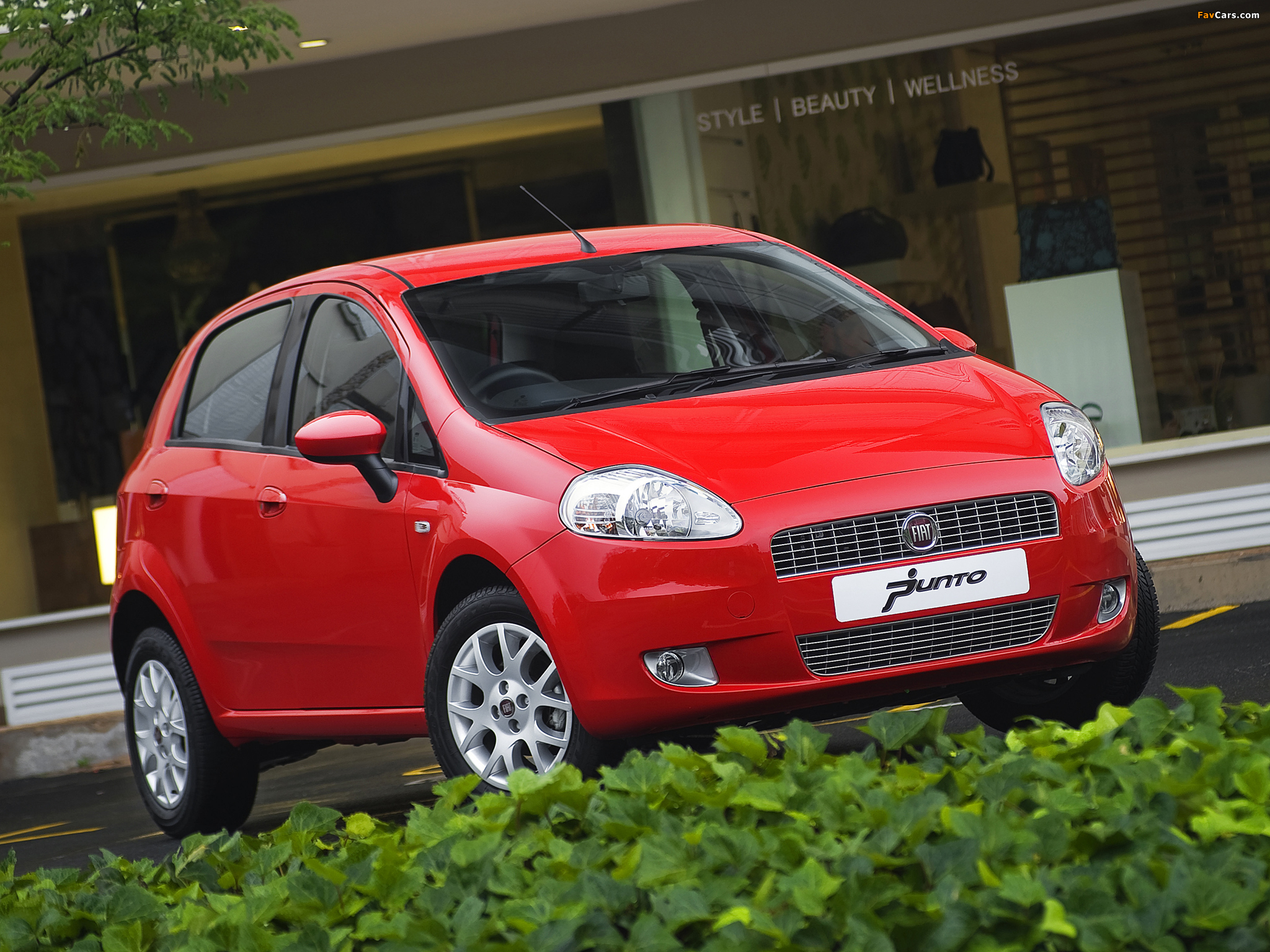 Pictures of Fiat Punto ZA-spec (310) 2009–12 (2048 x 1536)