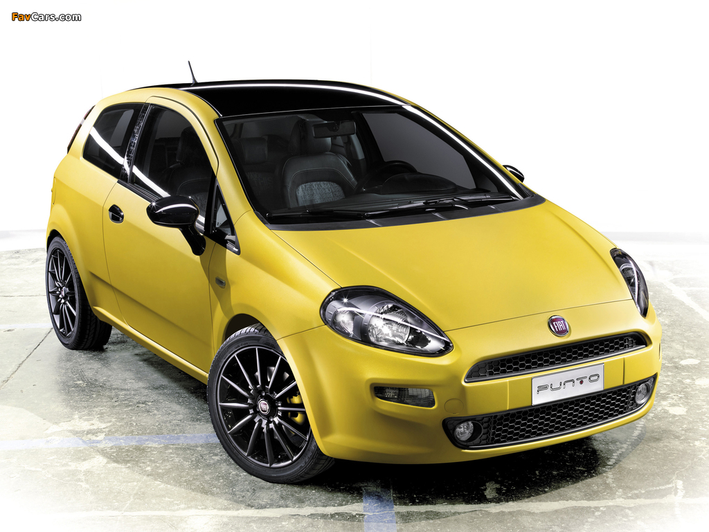 Pictures of Fiat Punto Born this way Concept (199) 2011 (1024 x 768)