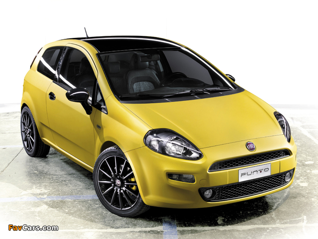 Pictures of Fiat Punto Born this way Concept (199) 2011 (640 x 480)