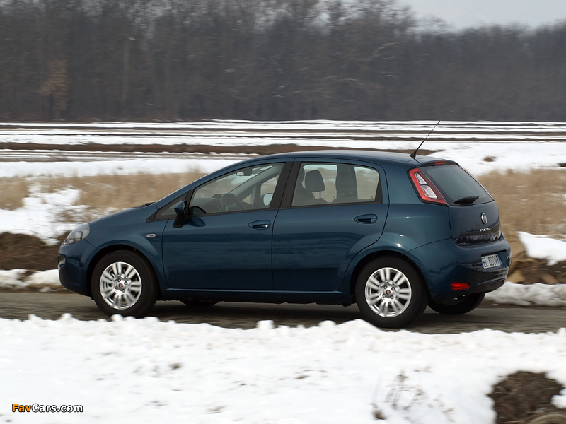 Pictures of Fiat Punto 5-door (199) 2012 (800 x 600)