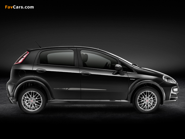 Pictures of Fiat Punto BlackMotion (310) 2013 (640 x 480)