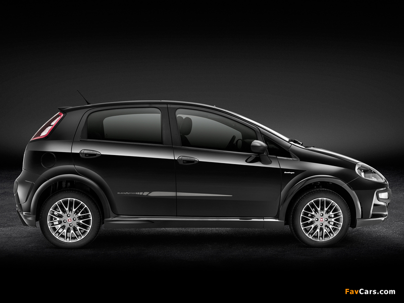 Pictures of Fiat Punto BlackMotion (310) 2013 (800 x 600)