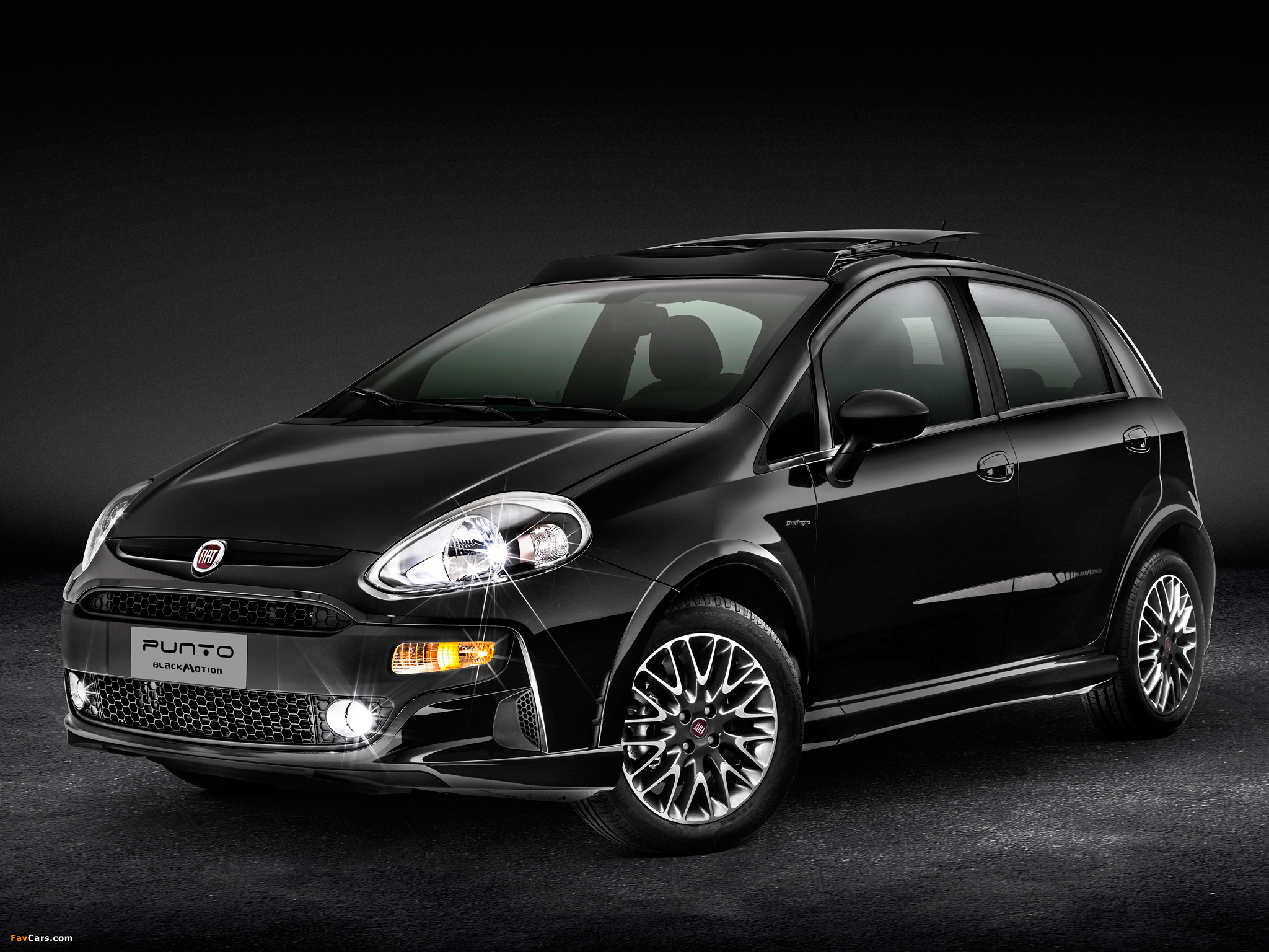 Pictures of Fiat Punto BlackMotion (310) 2013 (2048 x 1536)