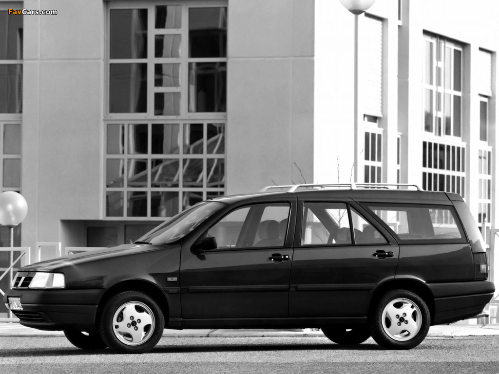 Fiat Tempra SW 1993–96 images (1024 x 768)