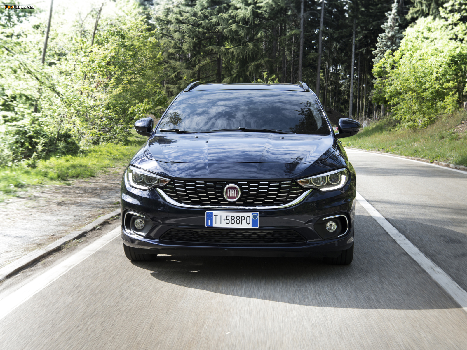 Fiat Tipo Station Wagon (357) 2016 pictures (1600 x 1200)