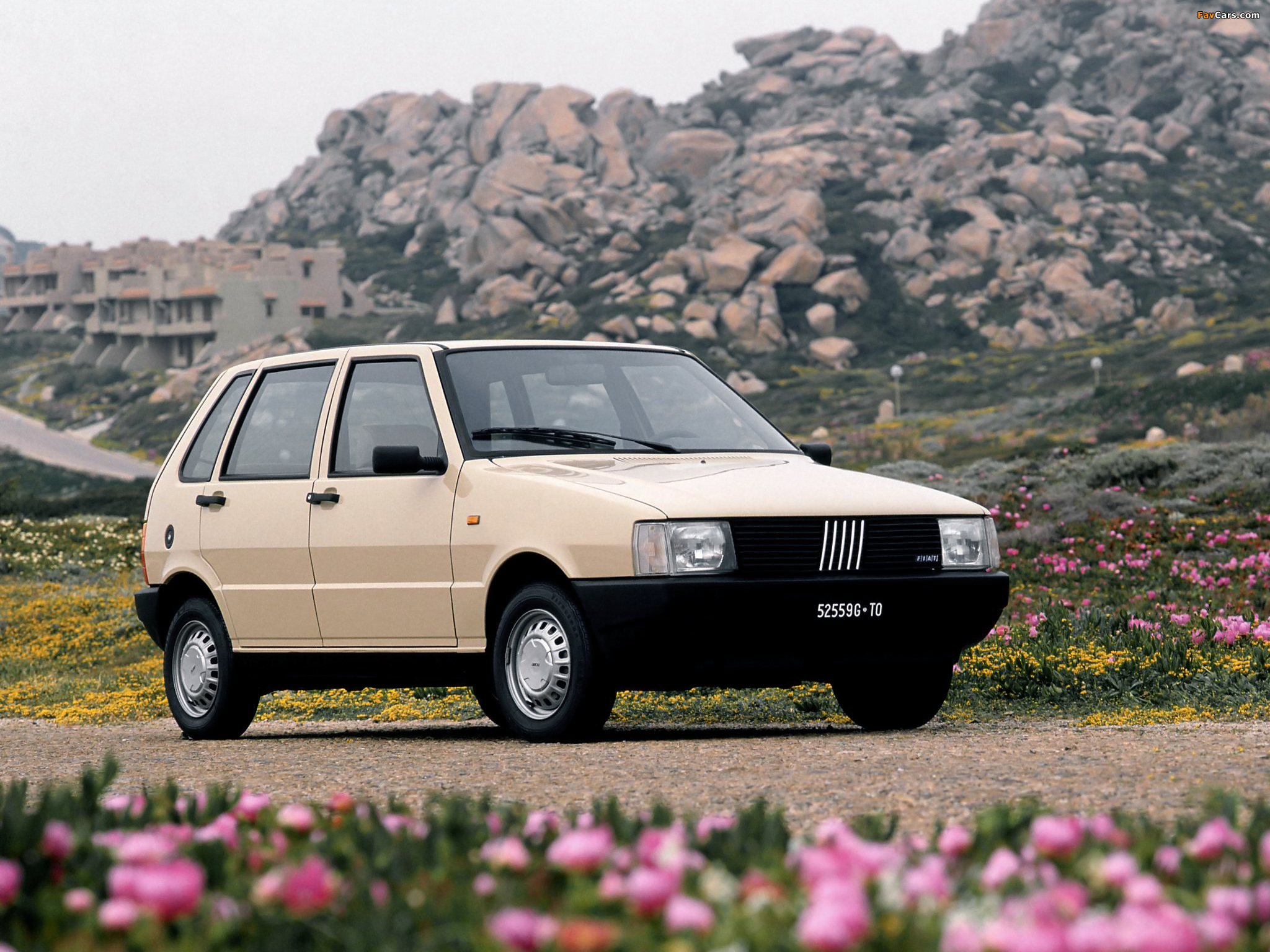 Images of Fiat Uno 5-door (146) 1983–89 (2048 x 1536)