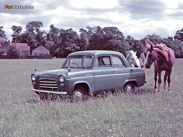 Ford Anglia (100E) 1953–59 pictures (640 x 480)