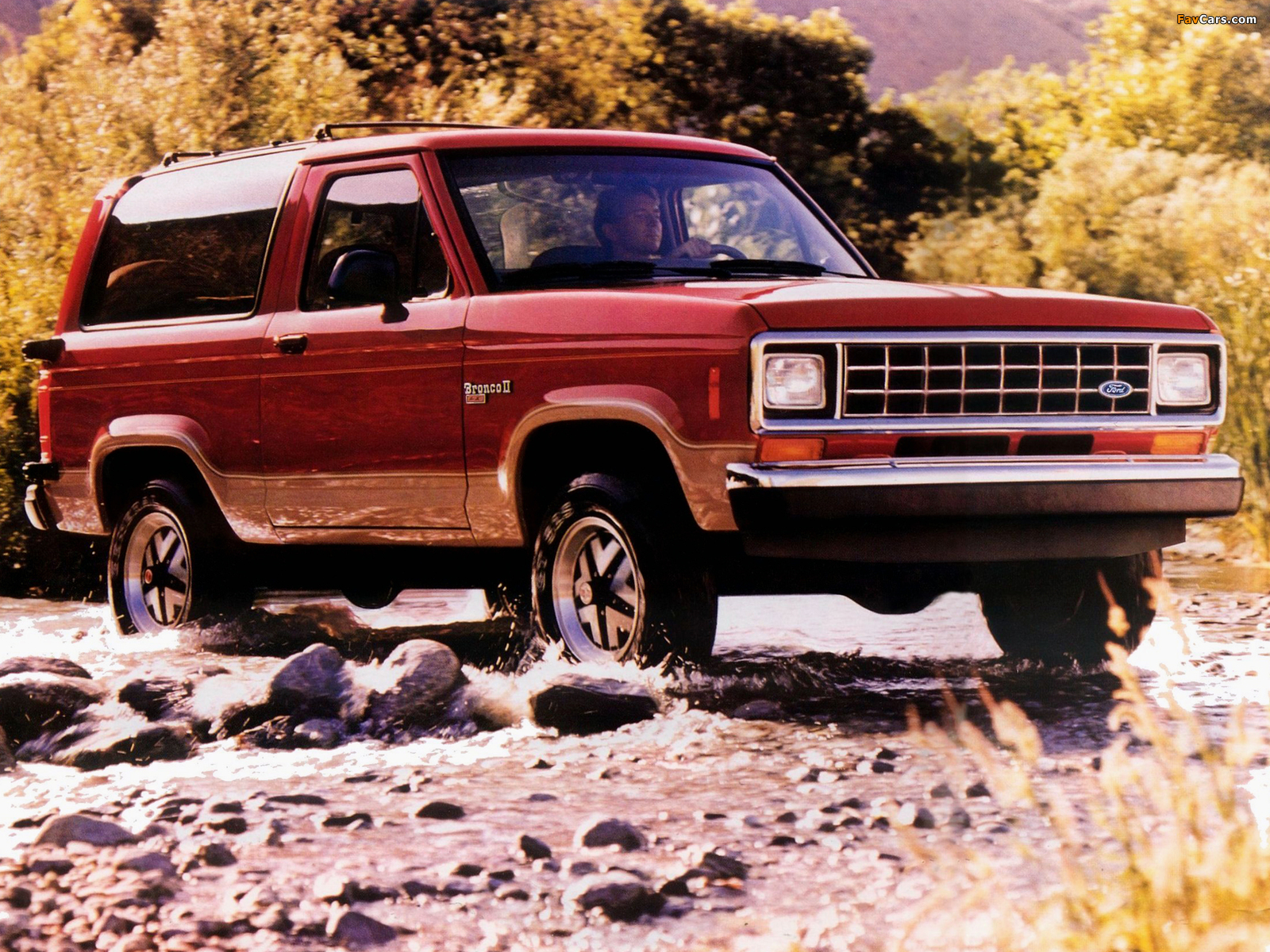 Ford Bronco II Eddie Bauer 1988 pictures (1600 x 1200)