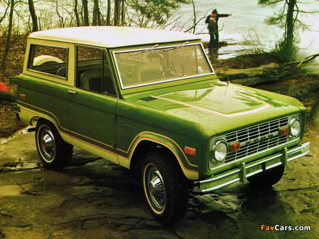 Ford Bronco Wagon 1974–76 wallpapers (640 x 480)