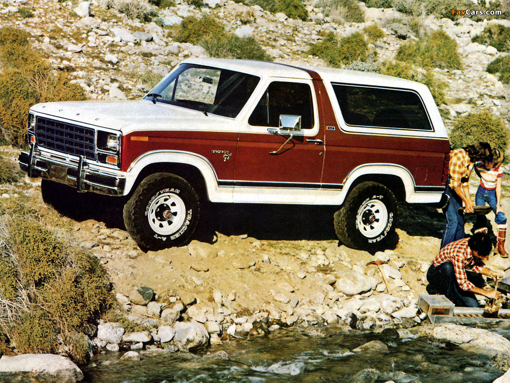 Ford Bronco 1980–86 pictures (1024 x 768)