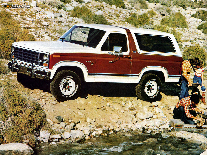 Ford Bronco 1980–86 pictures (800 x 600)