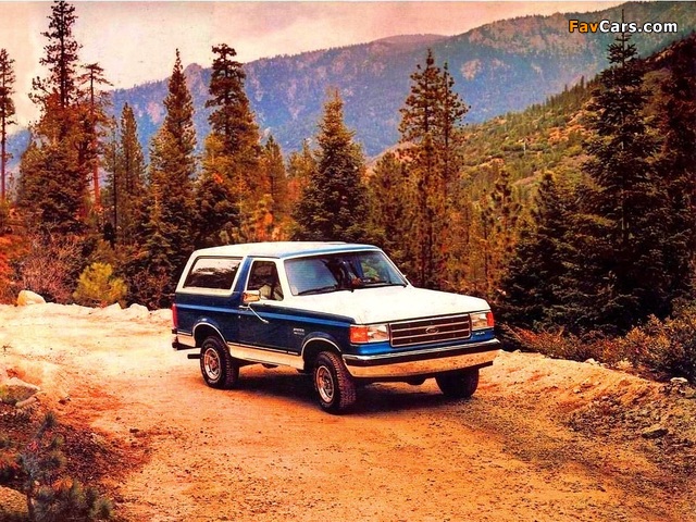 Ford Bronco 1987–91 pictures (640 x 480)