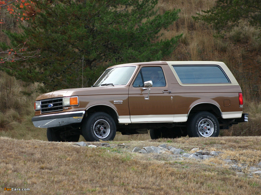 Ford Bronco 1987–91 wallpapers (1024 x 768)