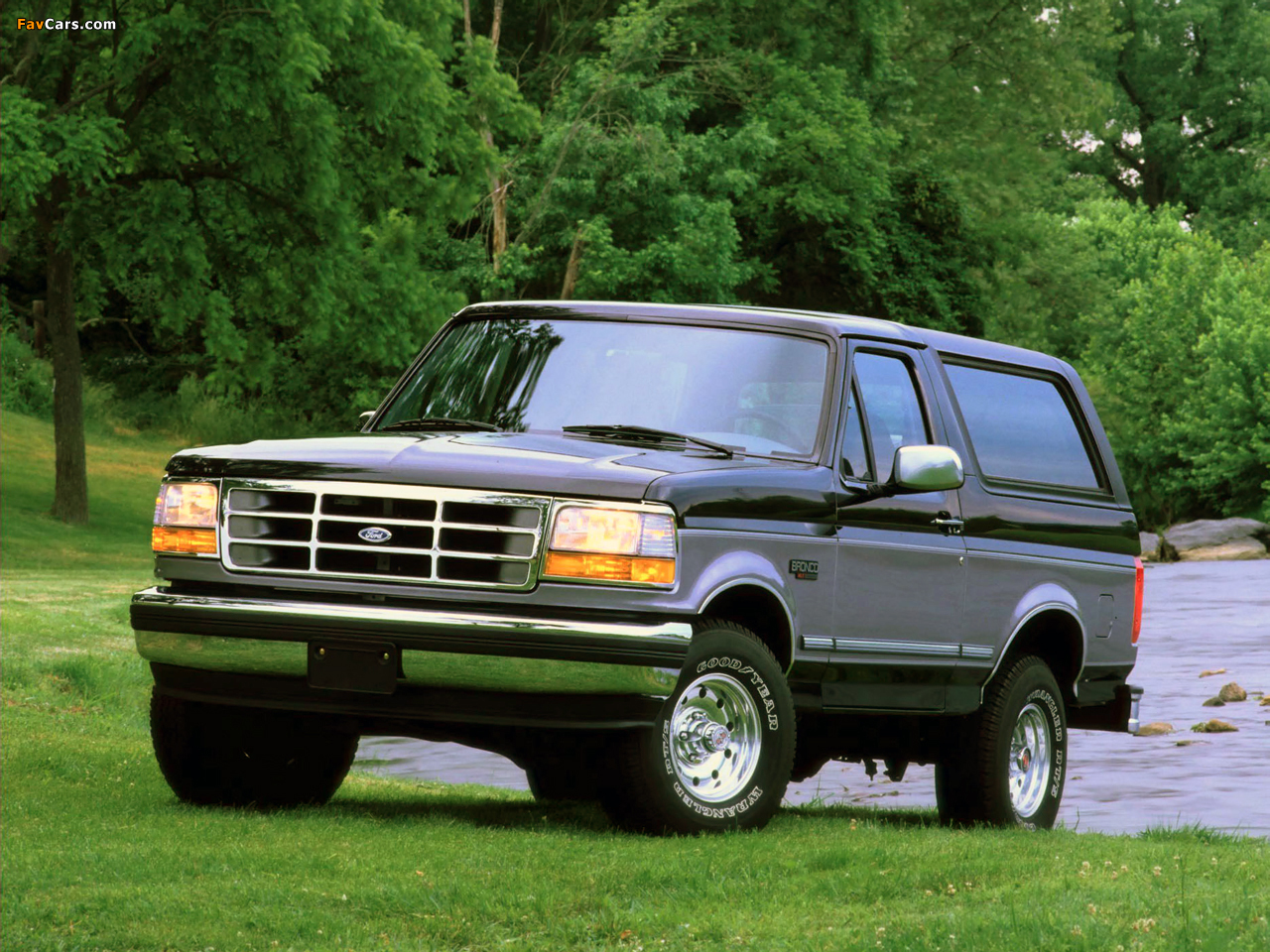 Ford Bronco 1992–96 photos (1280 x 960)