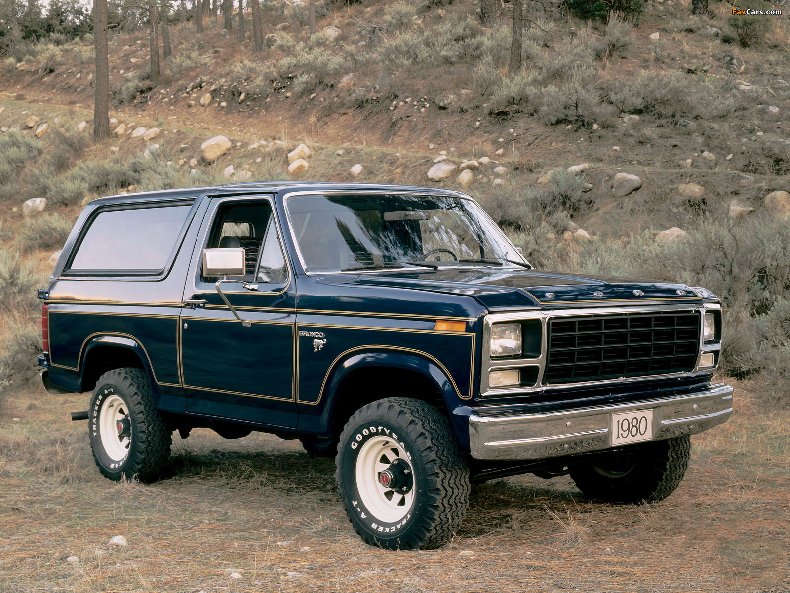 Images of Ford Bronco 1980–86 (1600 x 1200)