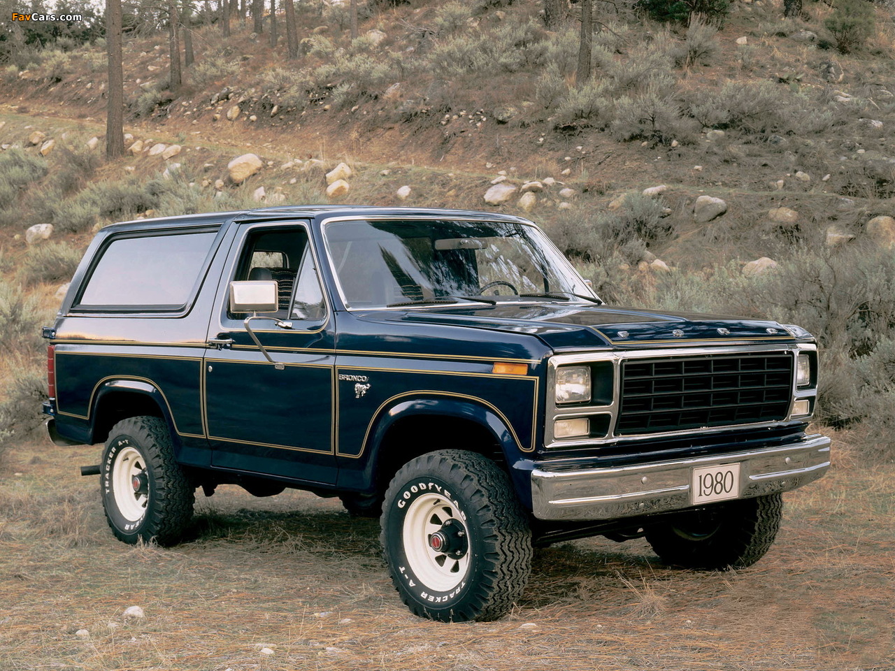Images of Ford Bronco 1980–86 (1280 x 960)