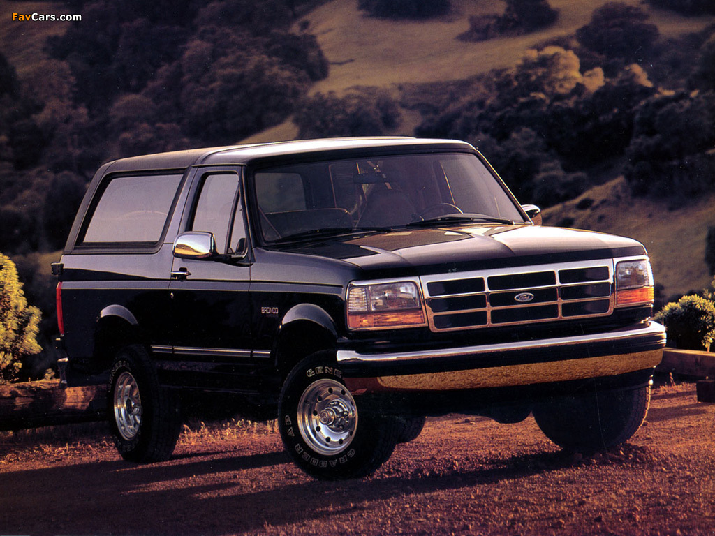 Images of Ford Bronco 1992–96 (1024 x 768)
