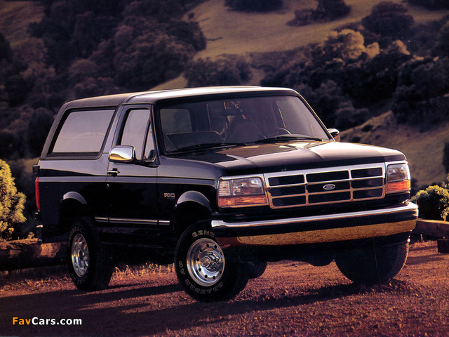 Images of Ford Bronco 1992–96 (640 x 480)