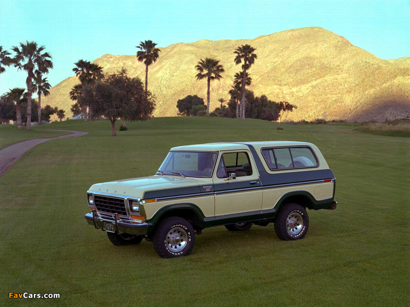 Photos of Ford Bronco 1978–79 (800 x 600)