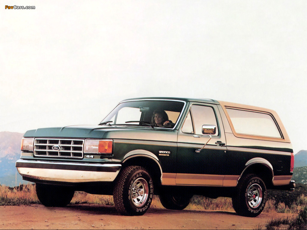 Photos of Ford Bronco 1987–91 (1024 x 768)