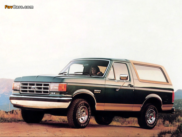 Photos of Ford Bronco 1987–91 (640 x 480)