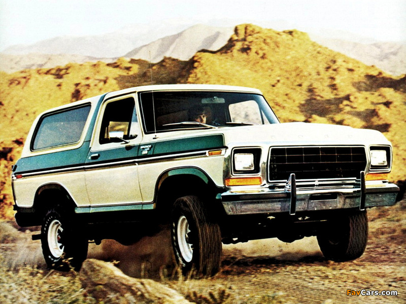 Pictures of Ford Bronco 1978–79 (800 x 600)