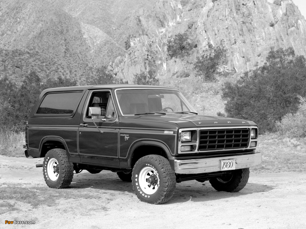 Pictures of Ford Bronco 1980–86 (1024 x 768)