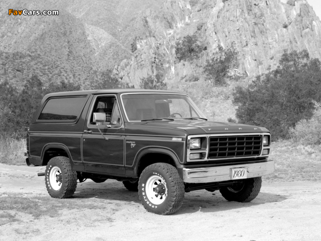 Pictures of Ford Bronco 1980–86 (640 x 480)