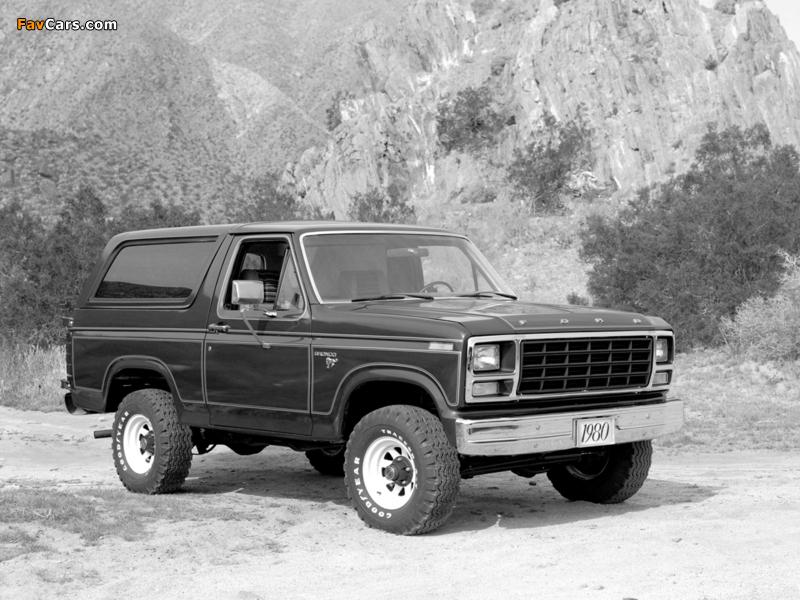 Pictures of Ford Bronco 1980–86 (800 x 600)