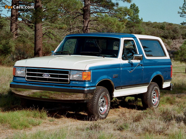 Pictures of Ford Bronco 1987–91 (640 x 480)